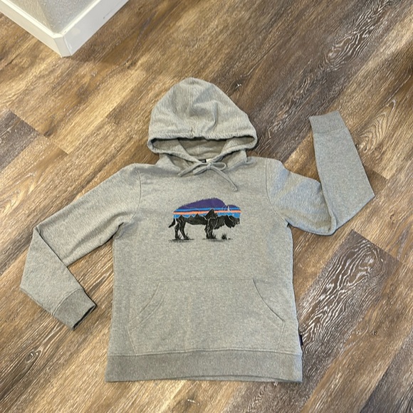 Patagonia Tops - Patagonia hoodie ‘Buffalo’